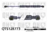 Gasfeder, Koffer-/Laderaum QUINTON HAZELL QTS128773