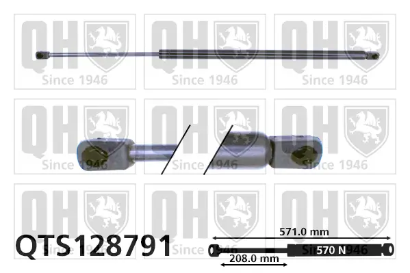 Gasfeder, Koffer-/Laderaum QUINTON HAZELL QTS128791
