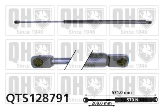 Gasfeder, Koffer-/Laderaum QUINTON HAZELL QTS128791 Bild Gasfeder, Koffer-/Laderaum QUINTON HAZELL QTS128791