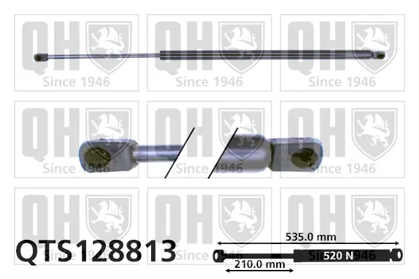 Gasfeder, Koffer-/Laderaum QUINTON HAZELL QTS128813