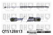 Gasfeder, Koffer-/Laderaum QUINTON HAZELL QTS128813