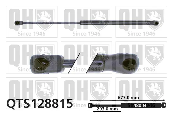 Gasfeder, Koffer-/Laderaum QUINTON HAZELL QTS128815