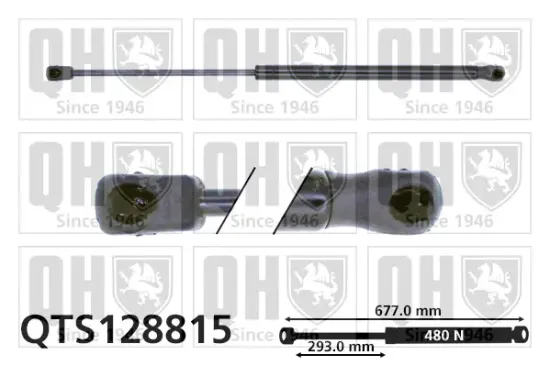 Gasfeder, Koffer-/Laderaum QUINTON HAZELL QTS128815 Bild Gasfeder, Koffer-/Laderaum QUINTON HAZELL QTS128815