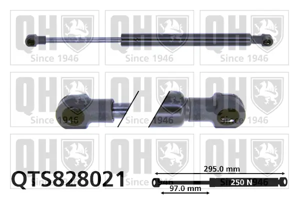 Gasfeder, Koffer-/Laderaum QUINTON HAZELL QTS828021