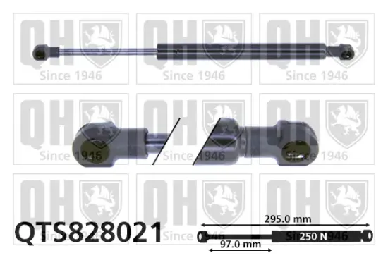 Gasfeder, Koffer-/Laderaum QUINTON HAZELL QTS828021 Bild Gasfeder, Koffer-/Laderaum QUINTON HAZELL QTS828021
