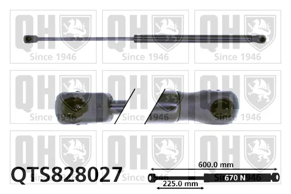 Gasfeder, Koffer-/Laderaum beidseitig QUINTON HAZELL QTS828027