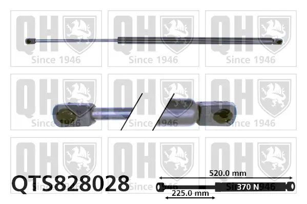 Gasfeder, Koffer-/Laderaum QUINTON HAZELL QTS828028