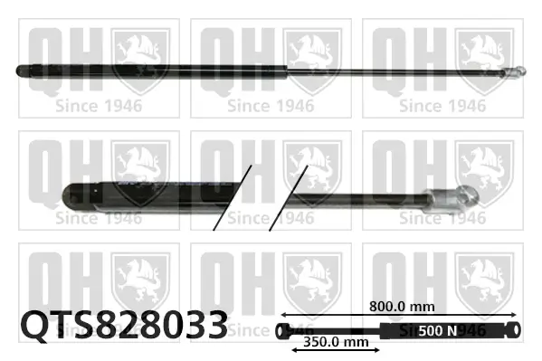 Gasfeder, Koffer-/Laderaum QUINTON HAZELL QTS828033