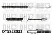Gasfeder, Koffer-/Laderaum QUINTON HAZELL QTS828033