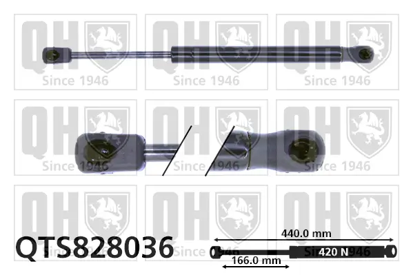 Gasfeder, Koffer-/Laderaum QUINTON HAZELL QTS828036