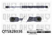 Gasfeder, Koffer-/Laderaum QUINTON HAZELL QTS828036