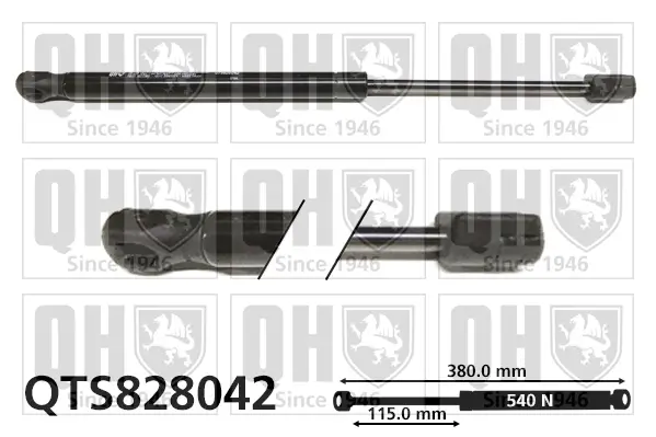 Gasfeder, Koffer-/Laderaum beidseitig QUINTON HAZELL QTS828042