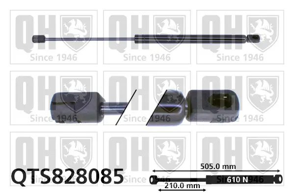 Gasfeder, Koffer-/Laderaum QUINTON HAZELL QTS828085
