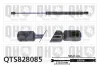 Gasfeder, Koffer-/Laderaum QUINTON HAZELL QTS828085