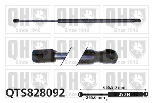 Gasfeder, Koffer-/Laderaum QUINTON HAZELL QTS828092