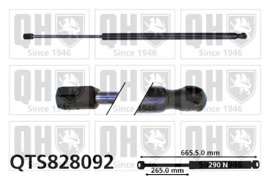 Gasfeder, Koffer-/Laderaum QUINTON HAZELL QTS828092 Bild Gasfeder, Koffer-/Laderaum QUINTON HAZELL QTS828092