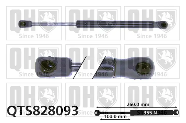 Gasfeder, Motorhaube QUINTON HAZELL QTS828093