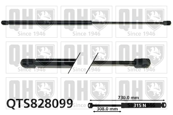 Gasfeder, Motorhaube QUINTON HAZELL QTS828099