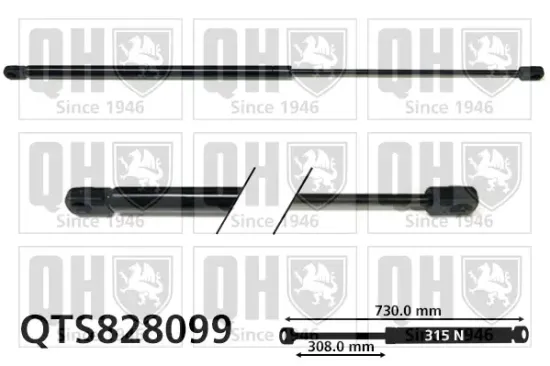 Gasfeder, Motorhaube QUINTON HAZELL QTS828099 Bild Gasfeder, Motorhaube QUINTON HAZELL QTS828099