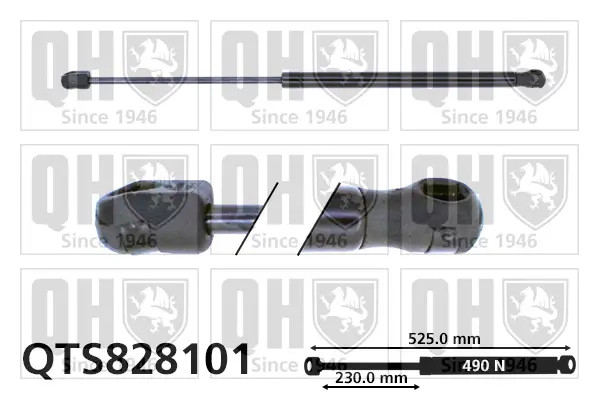 Gasfeder, Koffer-/Laderaum QUINTON HAZELL QTS828101