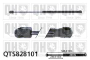 Gasfeder, Koffer-/Laderaum QUINTON HAZELL QTS828101