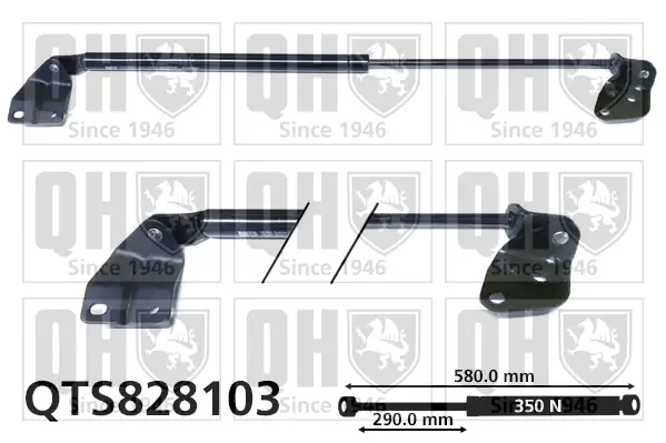 Gasfeder, Koffer-/Laderaum hinten rechts QUINTON HAZELL QTS828103
