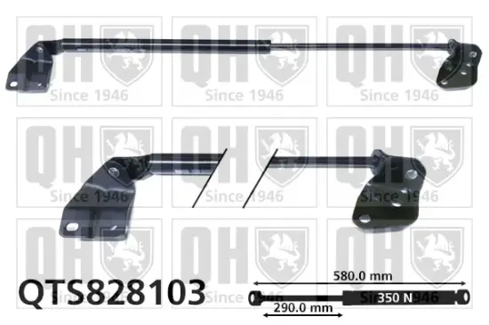 Gasfeder, Koffer-/Laderaum hinten rechts QUINTON HAZELL QTS828103 Bild Gasfeder, Koffer-/Laderaum hinten rechts QUINTON HAZELL QTS828103