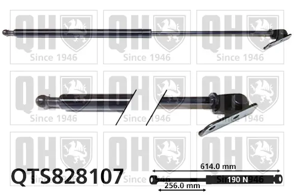 Gasfeder, Koffer-/Laderaum hinten rechts QUINTON HAZELL QTS828107
