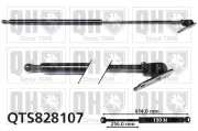Gasfeder, Koffer-/Laderaum hinten rechts QUINTON HAZELL QTS828107