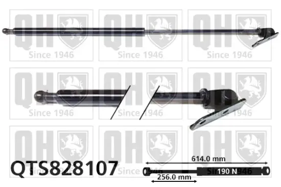 Gasfeder, Koffer-/Laderaum hinten rechts QUINTON HAZELL QTS828107 Bild Gasfeder, Koffer-/Laderaum hinten rechts QUINTON HAZELL QTS828107