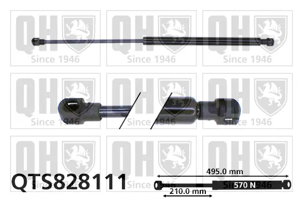 Gasfeder, Koffer-/Laderaum QUINTON HAZELL QTS828111