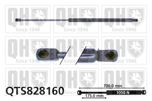 Gasfeder, Koffer-/Laderaum QUINTON HAZELL QTS828160
