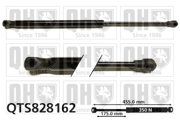 Gasfeder, Koffer-/Laderaum beidseitig QUINTON HAZELL QTS828162