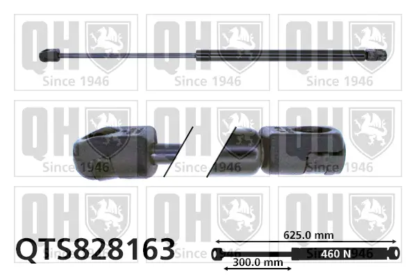 Gasfeder, Koffer-/Laderaum QUINTON HAZELL QTS828163