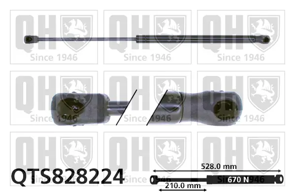 Gasfeder, Koffer-/Laderaum QUINTON HAZELL QTS828224
