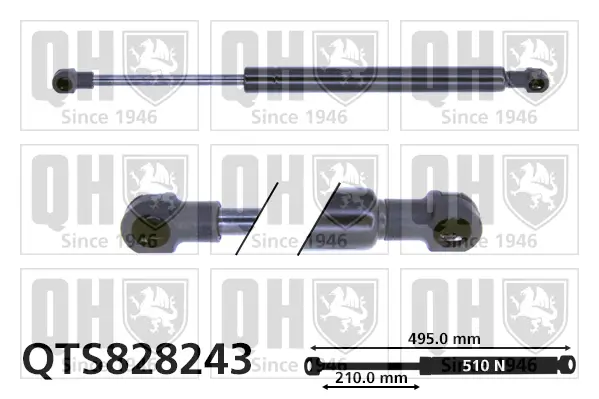 Gasfeder, Koffer-/Laderaum beidseitig QUINTON HAZELL QTS828243