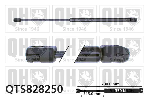 Gasfeder, Motorhaube QUINTON HAZELL QTS828250