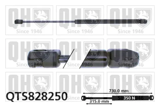 Gasfeder, Motorhaube QUINTON HAZELL QTS828250 Bild Gasfeder, Motorhaube QUINTON HAZELL QTS828250