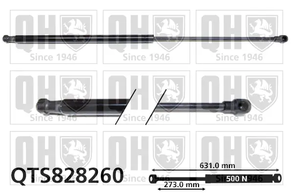 Gasfeder, Koffer-/Laderaum QUINTON HAZELL QTS828260