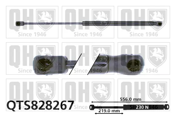 Gasfeder, Koffer-/Laderaum QUINTON HAZELL QTS828267