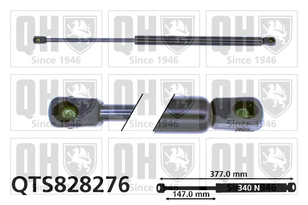Gasfeder, Koffer-/Laderaum QUINTON HAZELL QTS828276