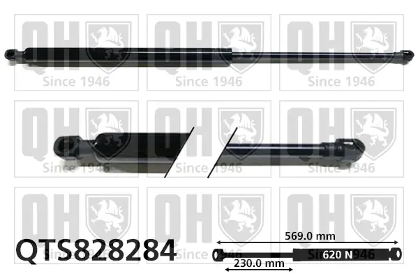 Gasfeder, Koffer-/Laderaum QUINTON HAZELL QTS828284
