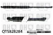 Gasfeder, Koffer-/Laderaum QUINTON HAZELL QTS828284