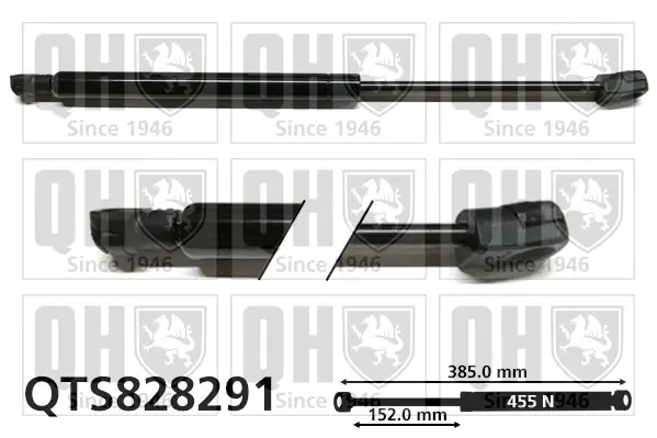 Gasfeder, Koffer-/Laderaum QUINTON HAZELL QTS828291