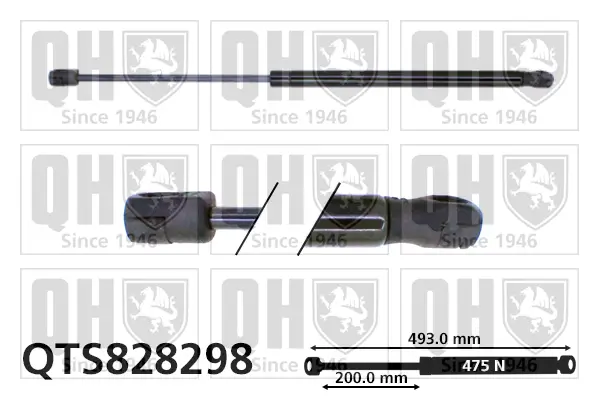 Gasfeder, Koffer-/Laderaum QUINTON HAZELL QTS828298