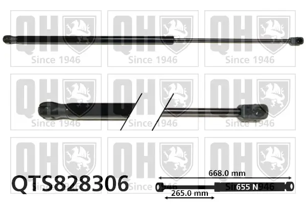 Gasfeder, Koffer-/Laderaum QUINTON HAZELL QTS828306