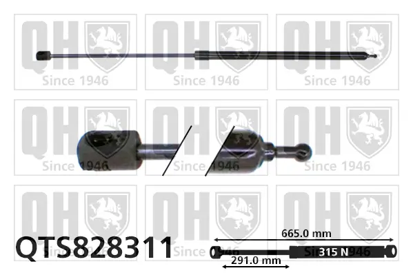 Gasfeder, Motorhaube QUINTON HAZELL QTS828311