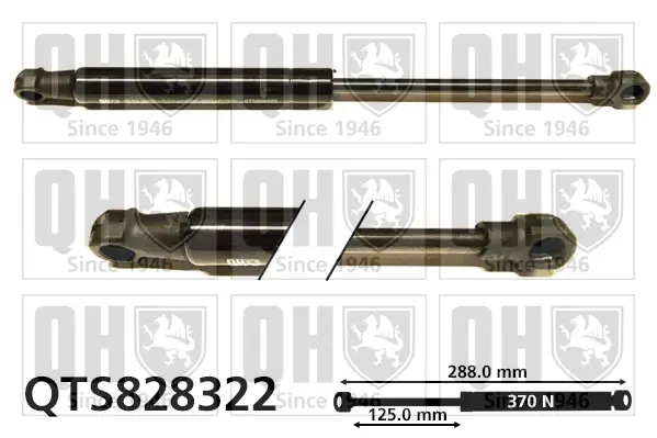 Gasfeder, Koffer-/Laderaum QUINTON HAZELL QTS828322