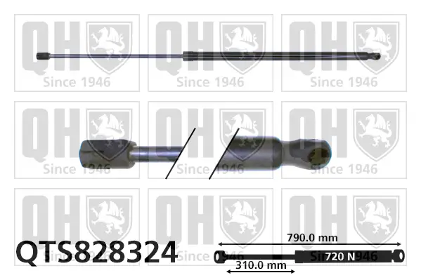 Gasfeder, Koffer-/Laderaum QUINTON HAZELL QTS828324
