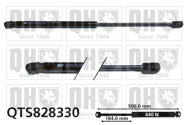 Gasfeder, Koffer-/Laderaum QUINTON HAZELL QTS828330